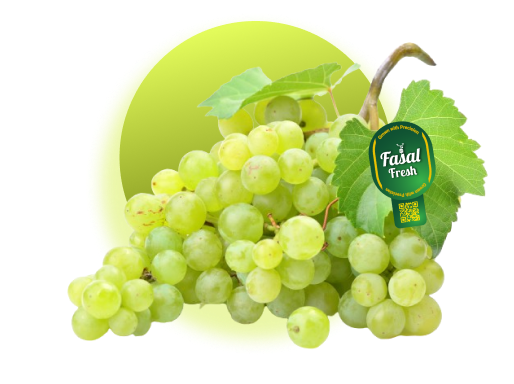 grapes mockup