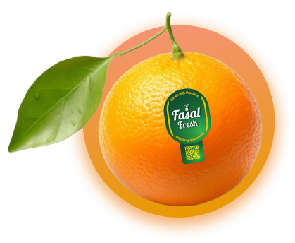 orange mockup