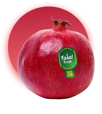 pomegranate mockup